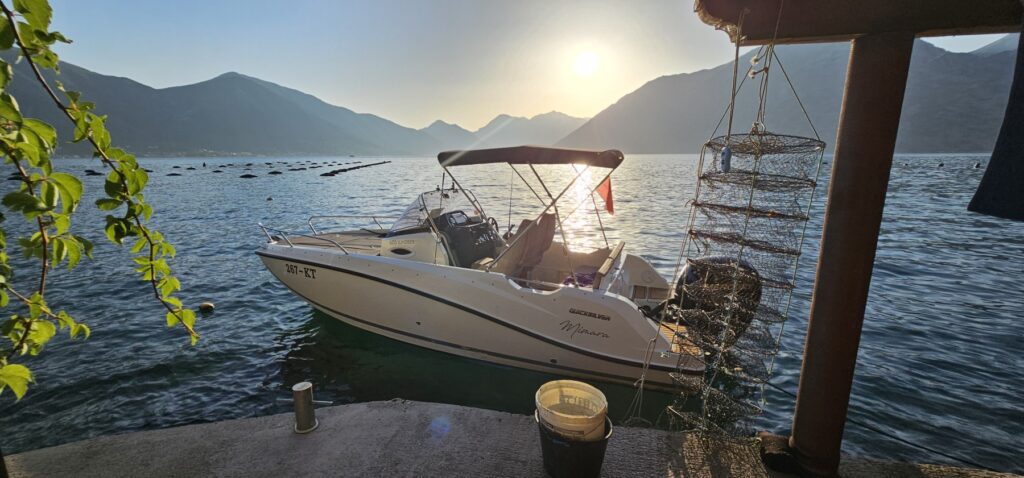 Costa Boat Tours Kotor sunset image of the small boat at a mussel farm